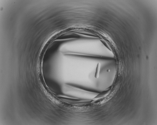 X0000085020976200703191137
