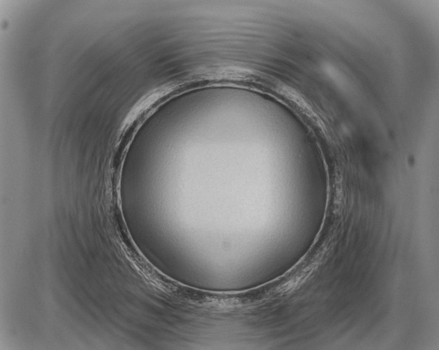 X0000085020978200703191137