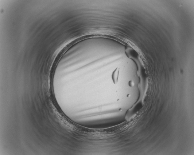 X0000085020980200703191137