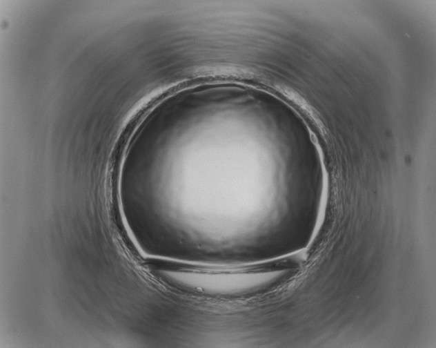 X0000085020983200703191137