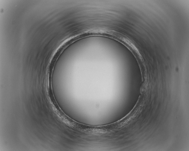 X0000085020984200703191137
