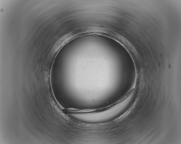 X0000085020985200703191137