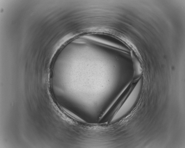X0000085020992200703191137