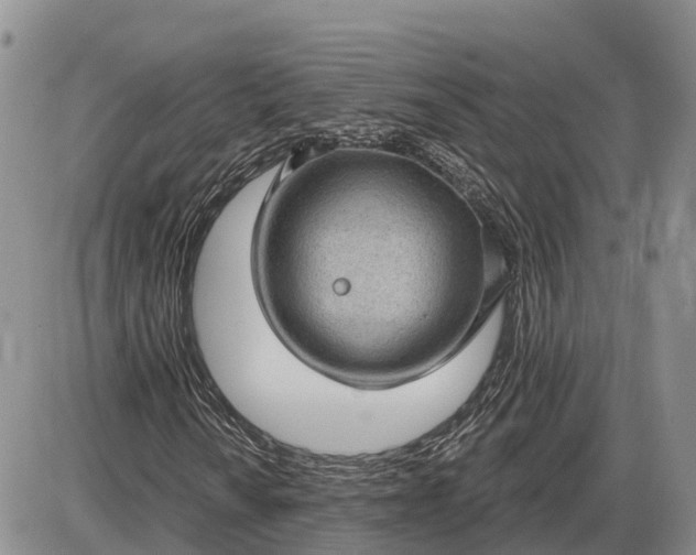 X0000085021010200703191136