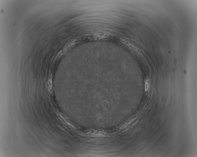 X0000085021011200703191136