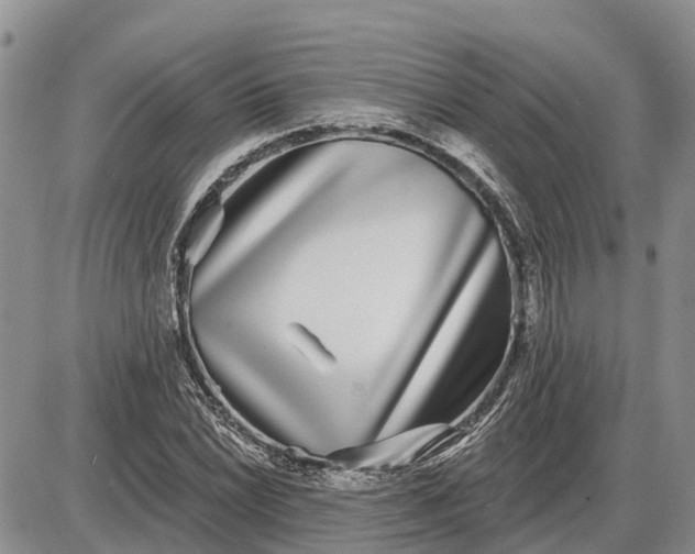X0000085021022200703191136