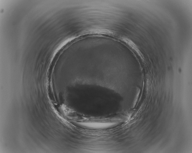 X0000085021024200703191136