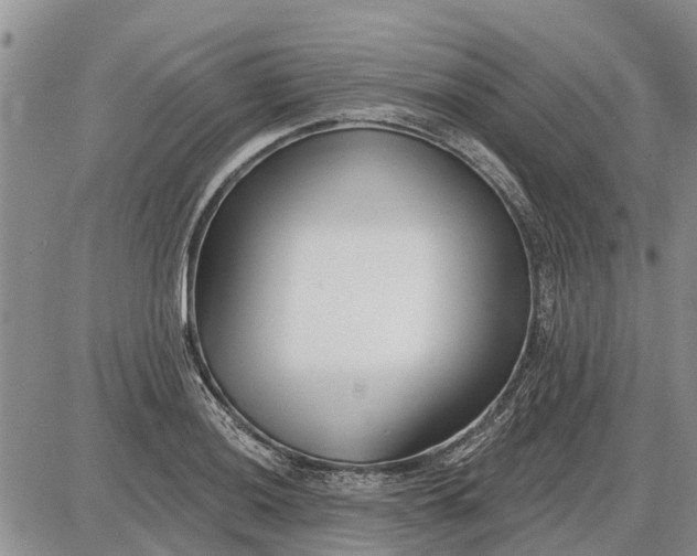 X0000085021036200703191136