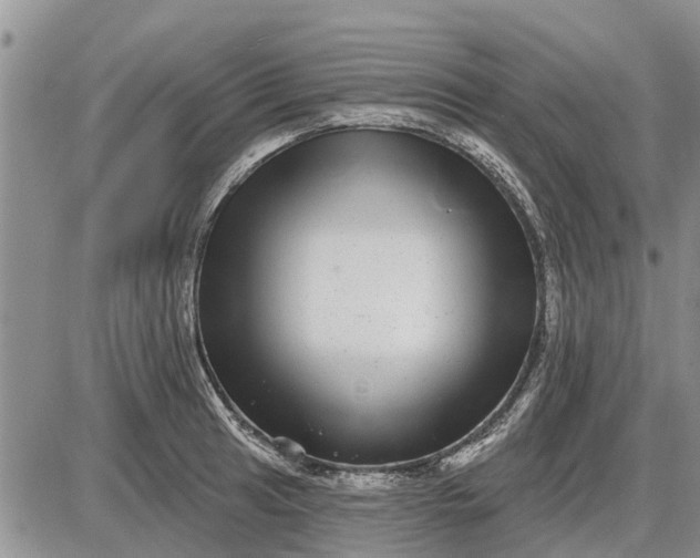 X0000085021041200703191136