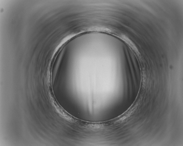 X0000085021044200703191136