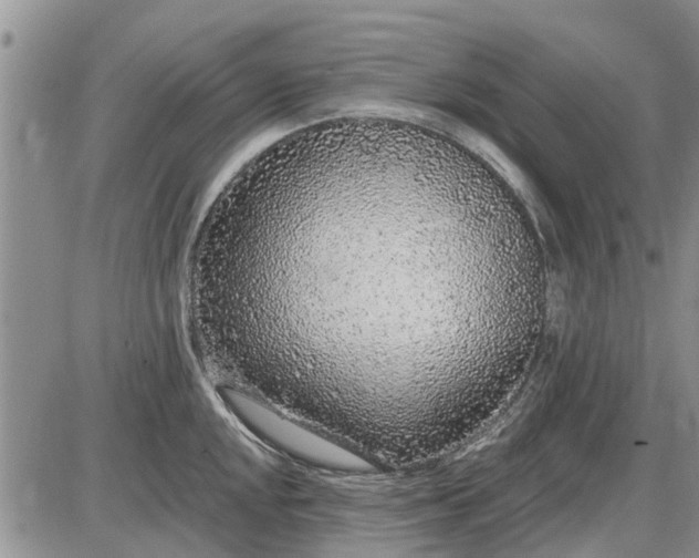 X0000085021048200703191136