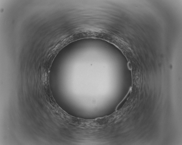 X0000085021061200703191135
