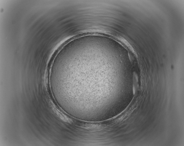 X0000085021076200703191135
