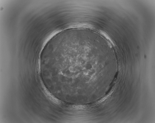 X0000085021079200703191135