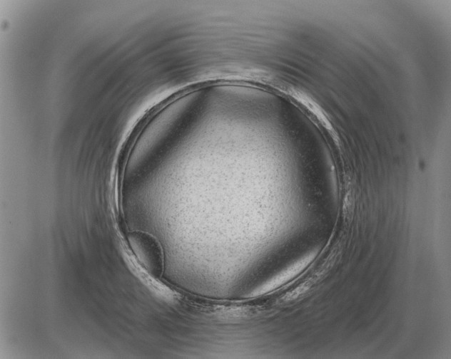 X0000085021080200703191135