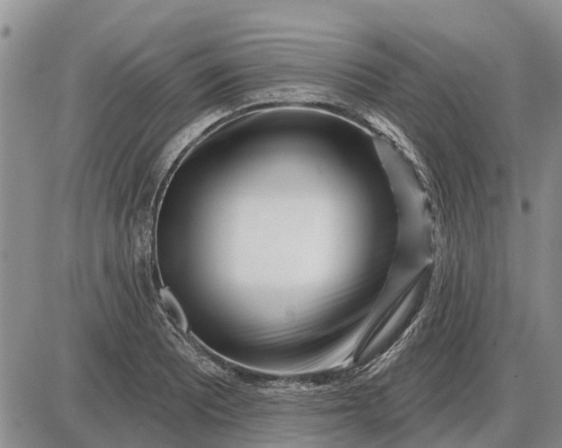 X0000085021081200703191135