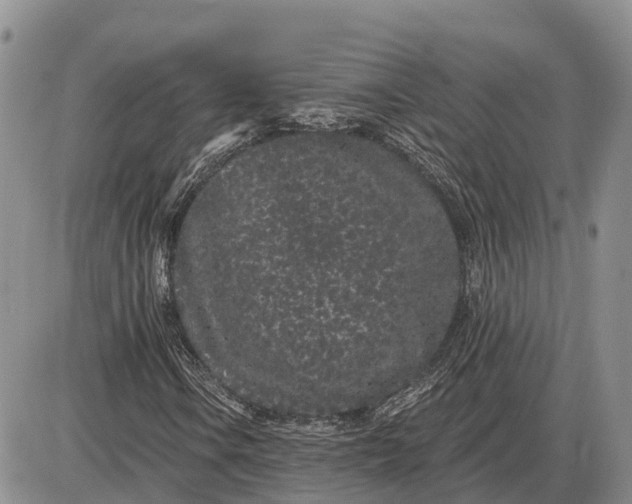 X0000085021106200703191134