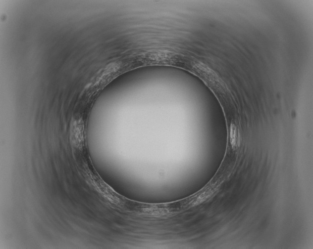 X0000085021107200703191134