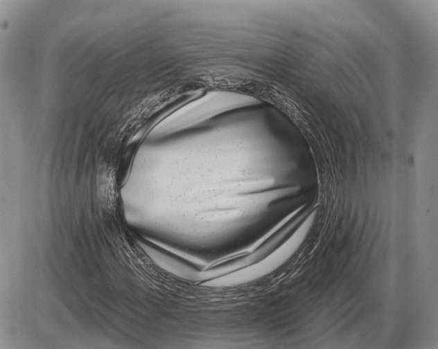 X0000085021108200703191134
