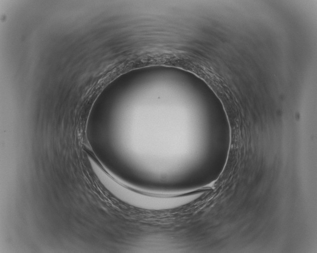 X0000085021109200703191134