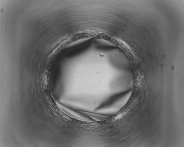 X0000085021110200703191134