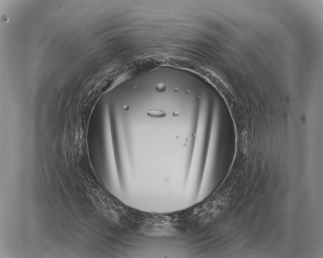 X0000085021111200703191134
