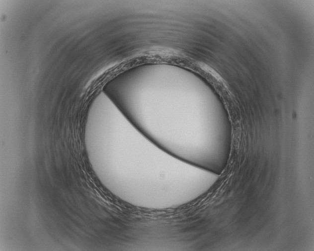 X0000085021112200703191134