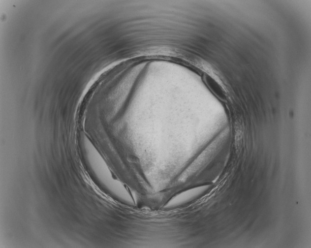 X0000085021116200703191134