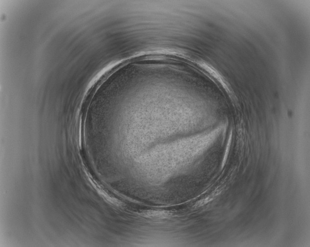 X0000085021127200703191134