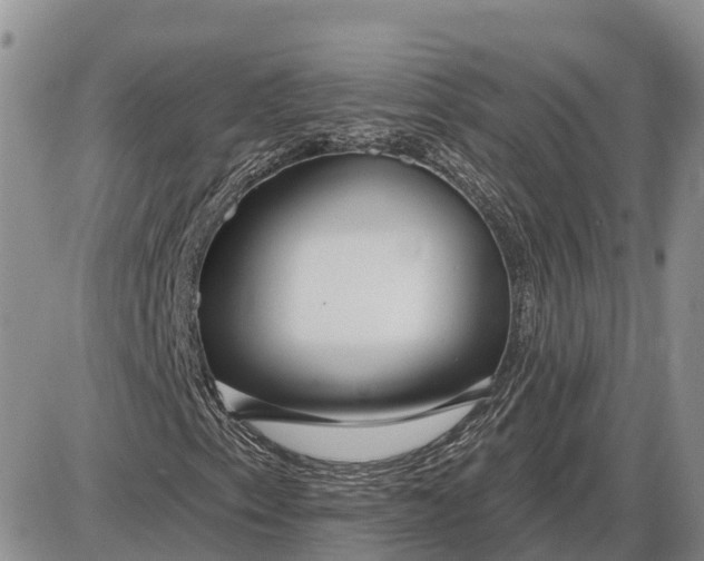 X0000085021153200703191134