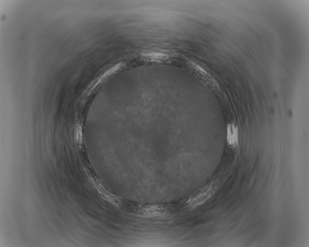 X0000085021155200703191134