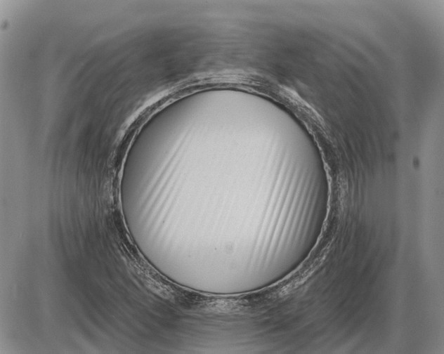 X0000085021166200703191134