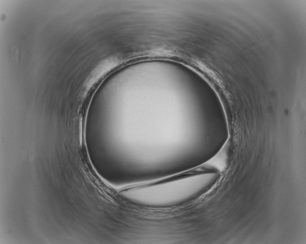 X0000085021171200703191134
