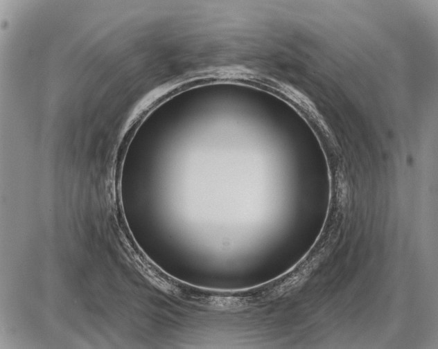 X0000085021176200703191133