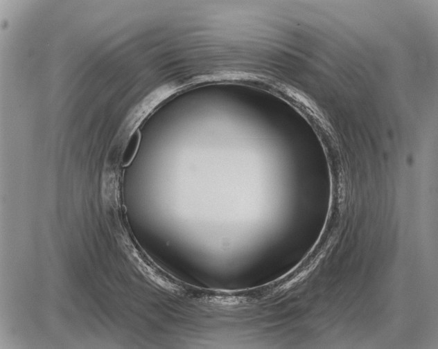 X0000085021177200703191133
