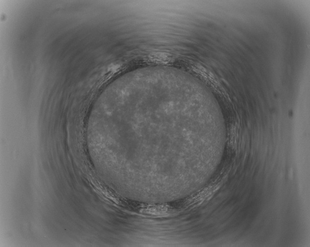 X0000085021201200703191132