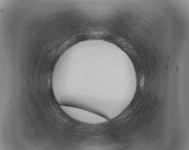 X0000085021204200703191132