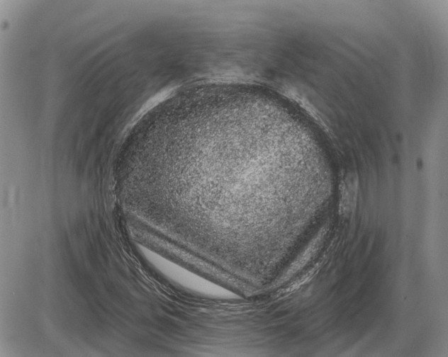 X0000085021213200703191132