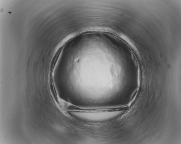 X0000085021237200703191133