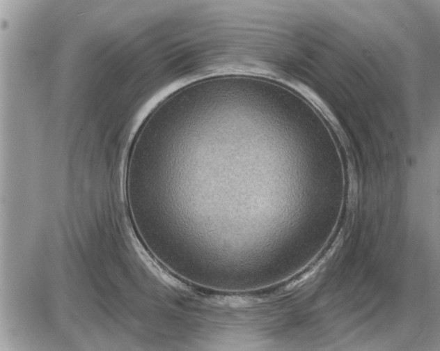 X0000085021246200703191133