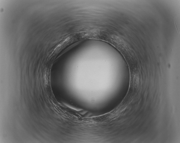 X0000085021250200703191132