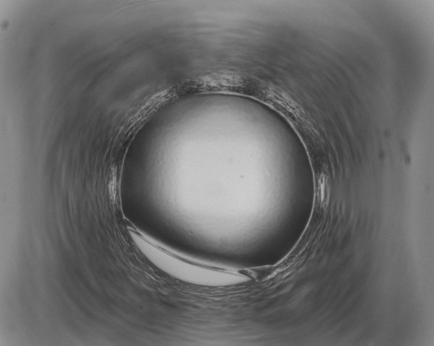 X0000085021251200703191132