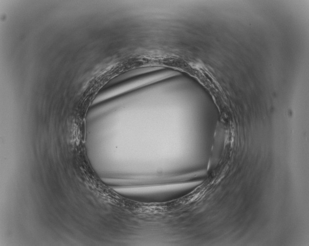 X0000085021253200703191132