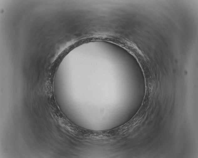 X0000085021256200703191132