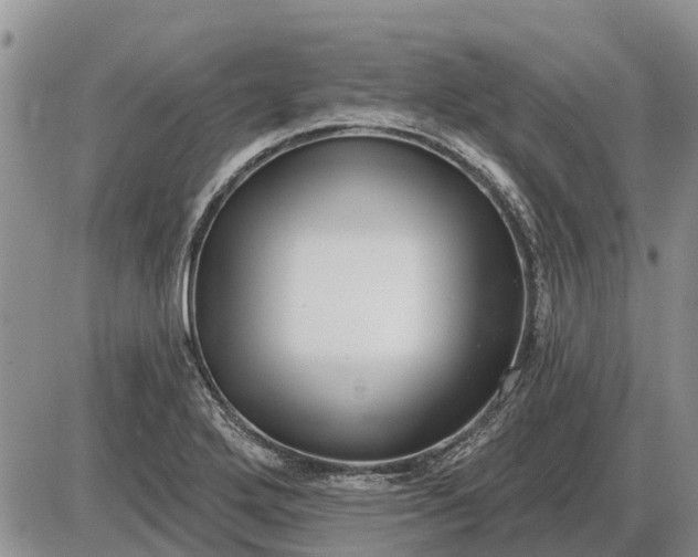 X0000085021272200703191132