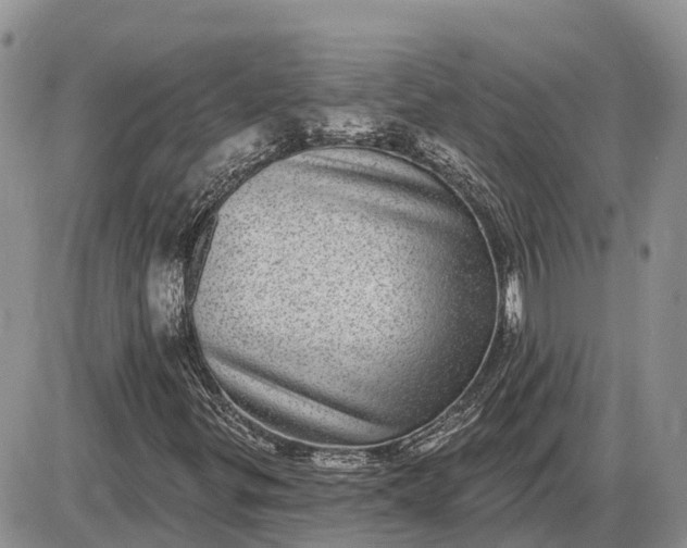 X0000085021299200703191131