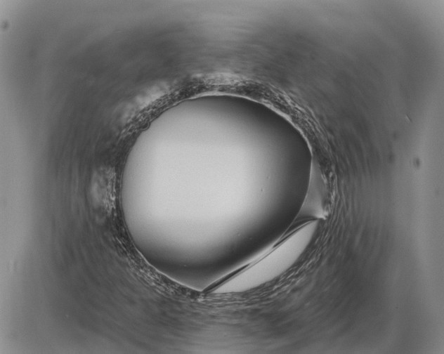 X0000085021301200703191131