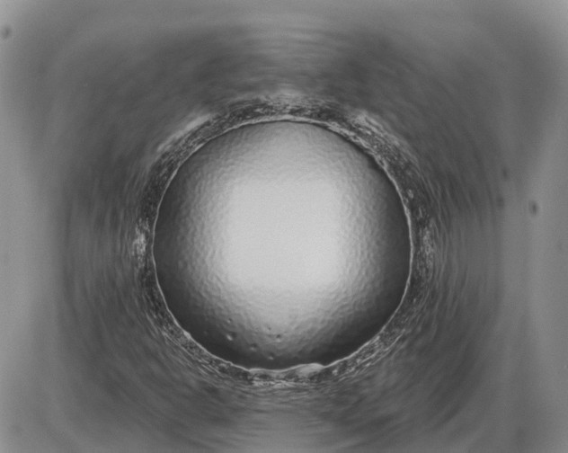 X0000085021302200703191131