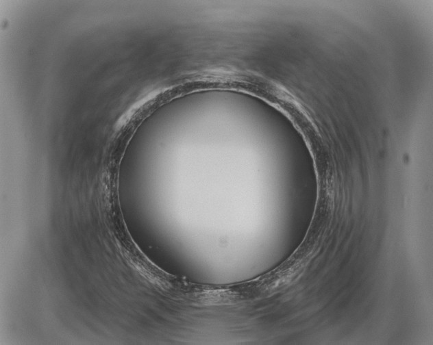 X0000085021304200703191131