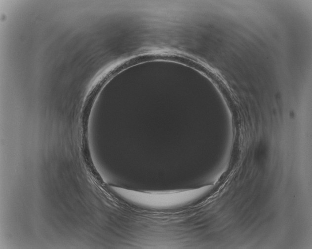 X0000085021319200703191131